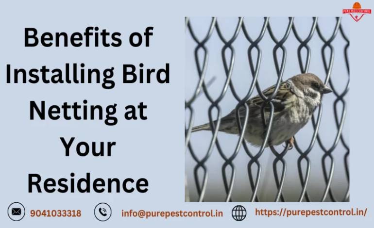 Benefits of Installing Bird Netting at Your Residence